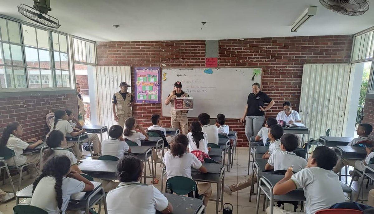 FuerzasMilCol's tweet photo. En 2024, los facilitadores del Batallón de @Ingenieros_EJC de Desminado Humanitario N° 7, en apoyo a la Cuarta de Brigada de @Ejercito_Div7  han beneficiado a más de 25 mil habitantes de #Antioquia, reafirmando la importancia de la educación en el riesgo de minas antipersonal. 
#ProtegemosLaVida