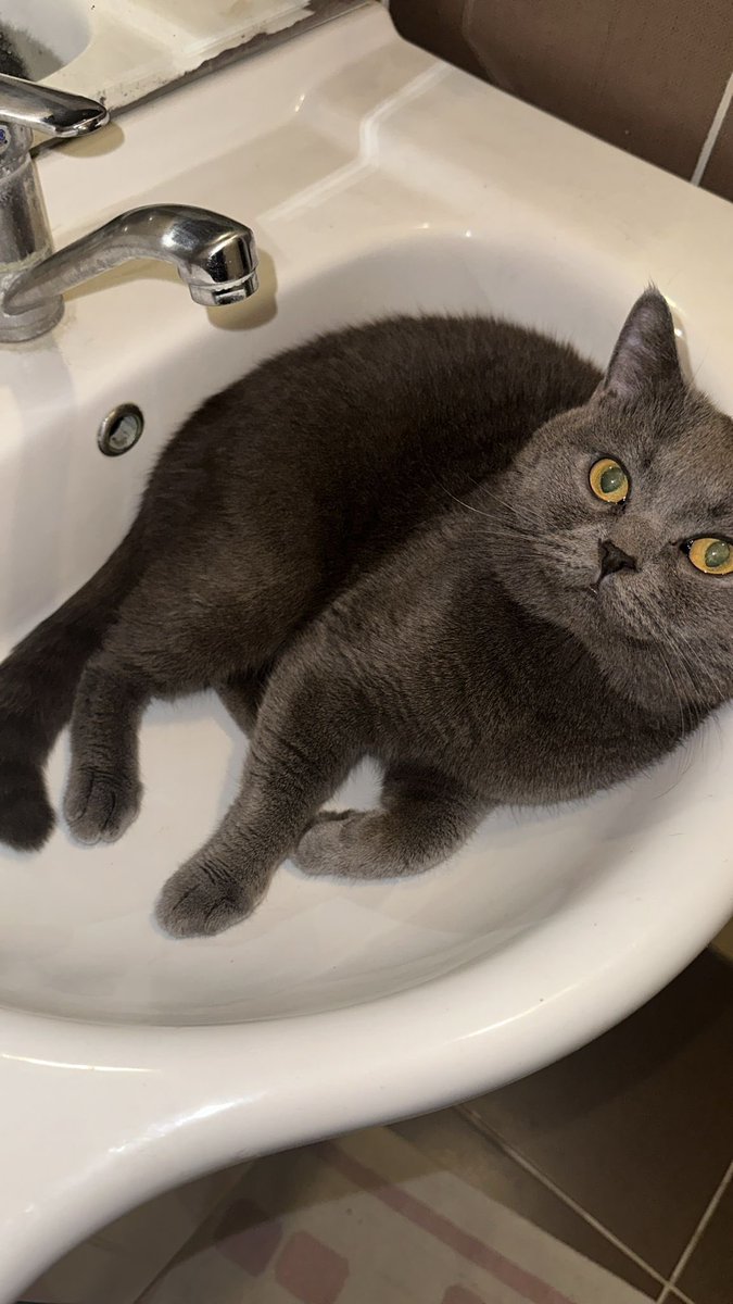 Ulan sana yeni sıfır yatak aldım. Yine gittin nereyi yatak yaptın yine.