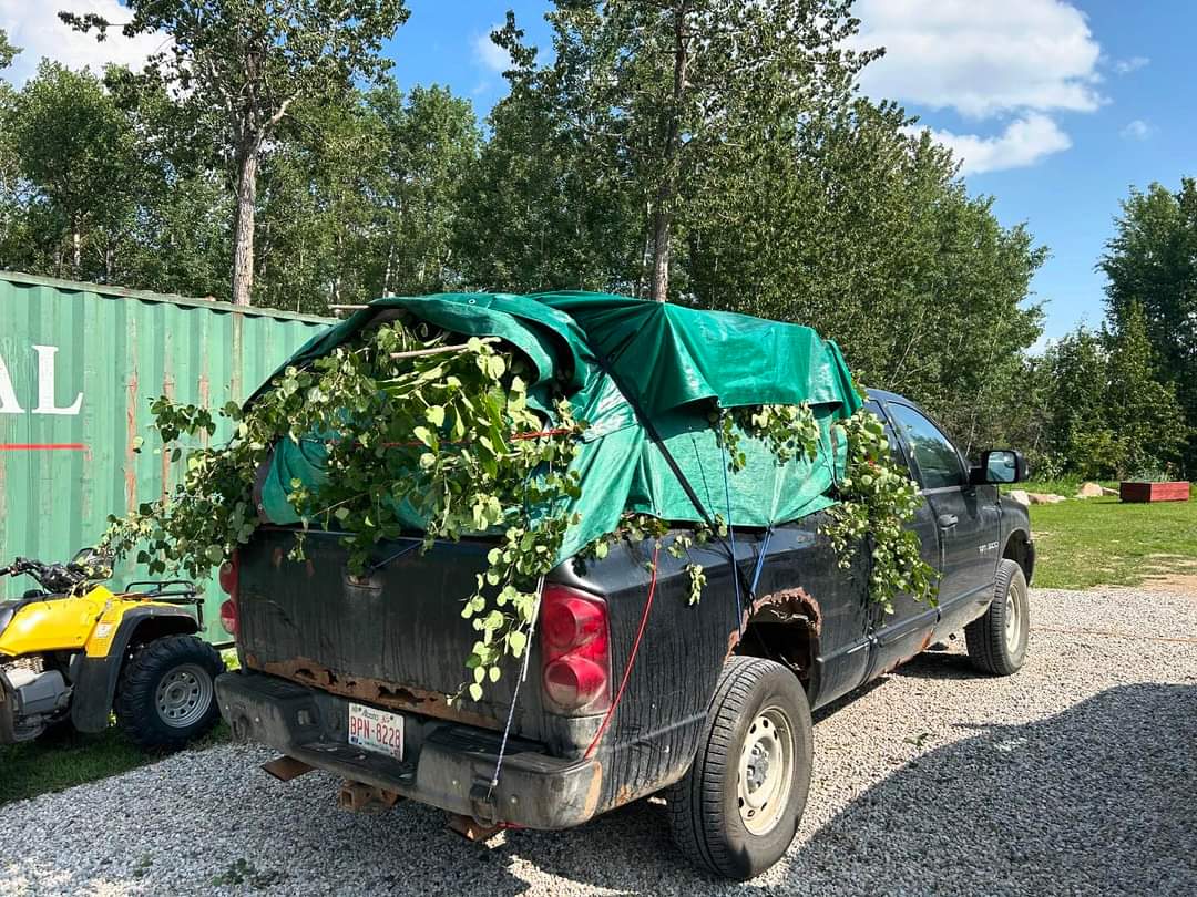hunkerdownsteve's tweet photo. Hiding in plain sight. Video coming this afternoon! https://t.co/UPq5SdlaSx