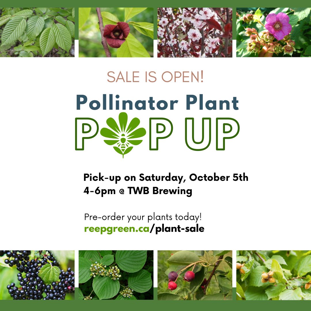 Reep Green Solutions tweet media