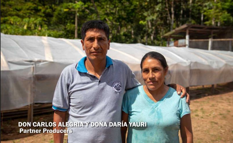 YieldCoffee's tweet photo. Since its release last week, our Peru Machu Picchu has received a tremendous amount of positive feedback. The Association of Ecological Agro Producers Machu Picchu was established in 2015 by a group of farmers who were deeply concerned about the dire situation of coffee. https://t.co/JKz6Z0V8k2