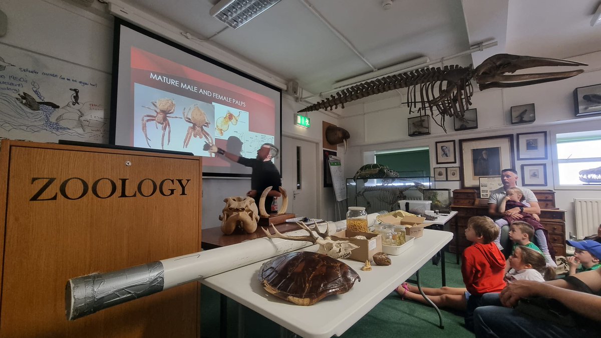 Lovely buch of folks at todays spider talk in <a href="/TCDZooMuseum/">TCD Zoology Museum</a>
Definitely a few new arachnid fans created. 🕷🕷🕷