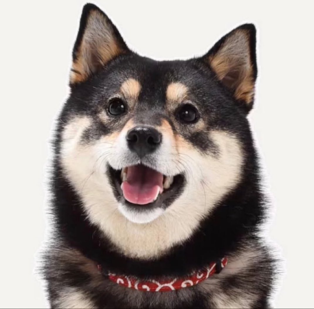 skellymode tweet media