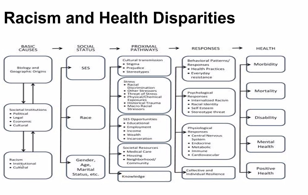 C4FHealth's tweet photo. Great presentation on the Impact of Racism on Health Outcomes in African Americans by Dr Raja Staggers-Hakim PhD, MPH with Pilar Jackson of the African American Behavioral Health Center of Excellence. Racism is a psychological and physical burden that we must deal with. #CFHI https://t.co/PNhtqMM6xh