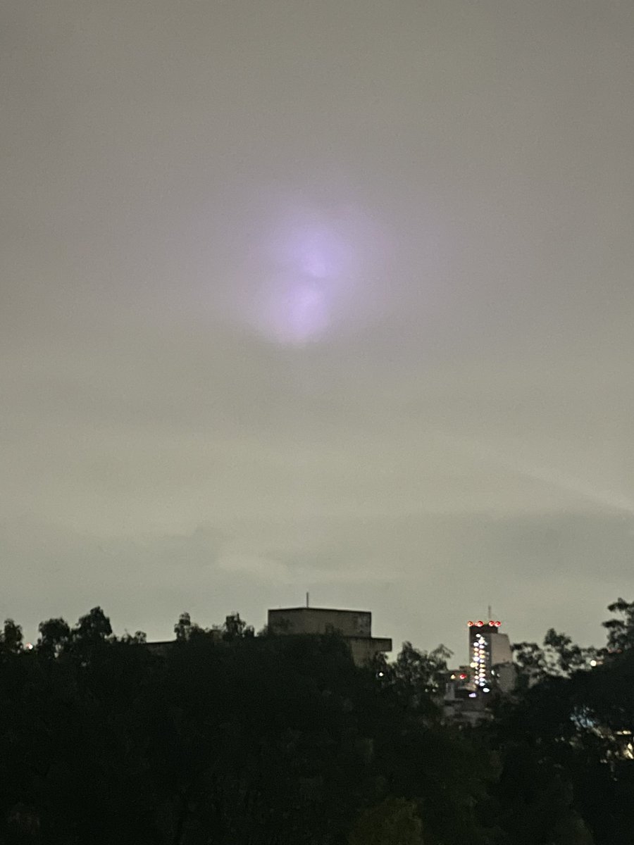 speedcat9 tweet media