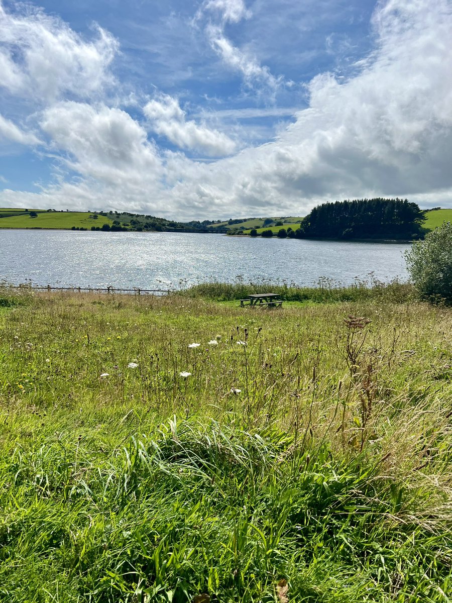 bryce_isobel's tweet photo. ‘Sometimes a light surprises…a season of clear shining to cheer it after rain’. With more Cornish ‘mizzle’ today, the sun breaking through the clouds at #Siblyback #Liskeard #Cornwall this afternoon was welcome. Lovely place for a mooch, dog friendly & great coffee at Olive & Co https://t.co/nTYOdi1Kjj