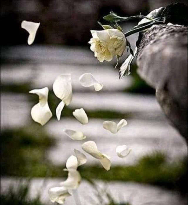 U z a k l ı k ve yakınlık ölçülebilir şeyler değil. Bazen  karşımda duran biri benden kilometrelerce uzakta olabilir..!