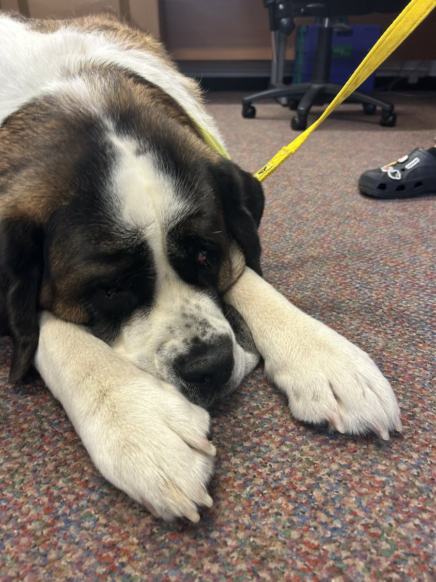 Rebecca Pease tweet media