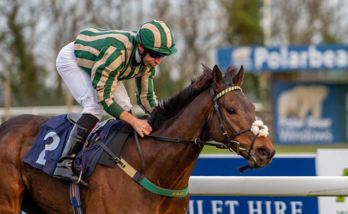 MILITRY DECORATION runs tomorrow for the Gold and Green Racing Club <a href="/WolvesRaces/">Wolverhampton Races</a> ! 🤩

He has won at Wolverhampton previously and has winning form on other AW tracks! We wish him and the   Camilla Poulton Racing team the best of luck! The main thing is he comes home safely 🙏🏻