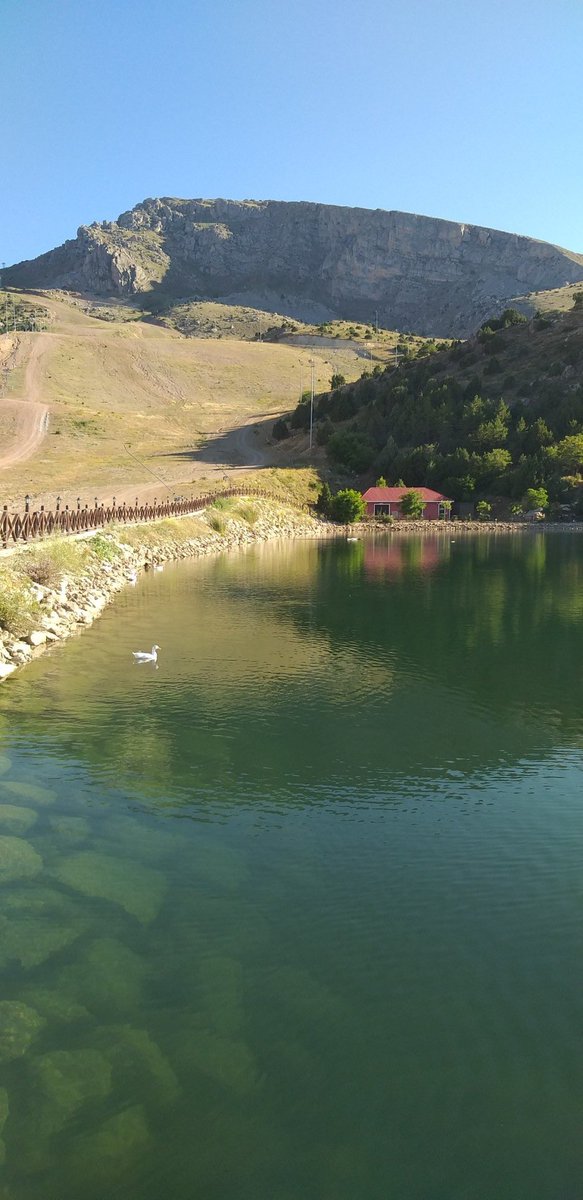 “Biliniz ki Allah iman edenleri korur.                                            Şu da muhakkak ki...

Allah hiçbir haini..hiçbir nankörü sevmez....     (Hac 22/38)