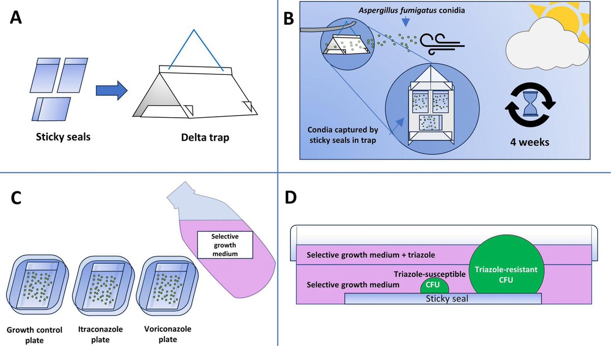 AppEnvMicro's tweet photo. @AppEnvMicro Spotlight 💡 Hylke Kortenbosch and team describe a new method for the quantification of airborne resistance fractions and quick genotyping of the spores of the fungal pathogen Aspergillus fumigatus. @Shortenbosch @EvelineSnelders

Read more👇
 https://t.co/MmRethU2FZ https://t.co/xeW8Y9nLhf