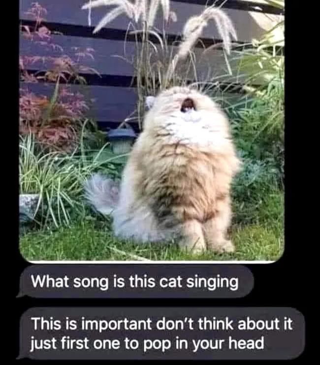 WholesomeMemes tweet media