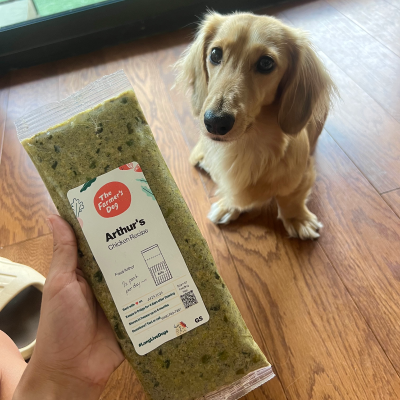 thefarmersdog's tweet photo. We believe no living being should eat ultra-processed food for every meal of their lives. Make the switch.