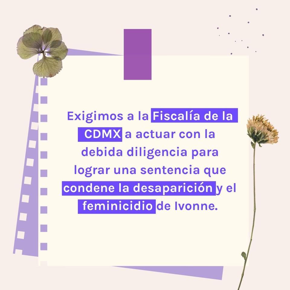 OCNF's tweet photo. Hoy iniciamos una nueva etapa de la campaña #NosVanAVerJuntas para visibilizar la violencia feminicida en México, denunciar la obstrucción de justicia y honrar la memoria de las mujeres víctimas de esta violencia. Únete a nosotras y demostremos que juntas, somos más fuertes.💜📣 https://t.co/3QTdx6tc38