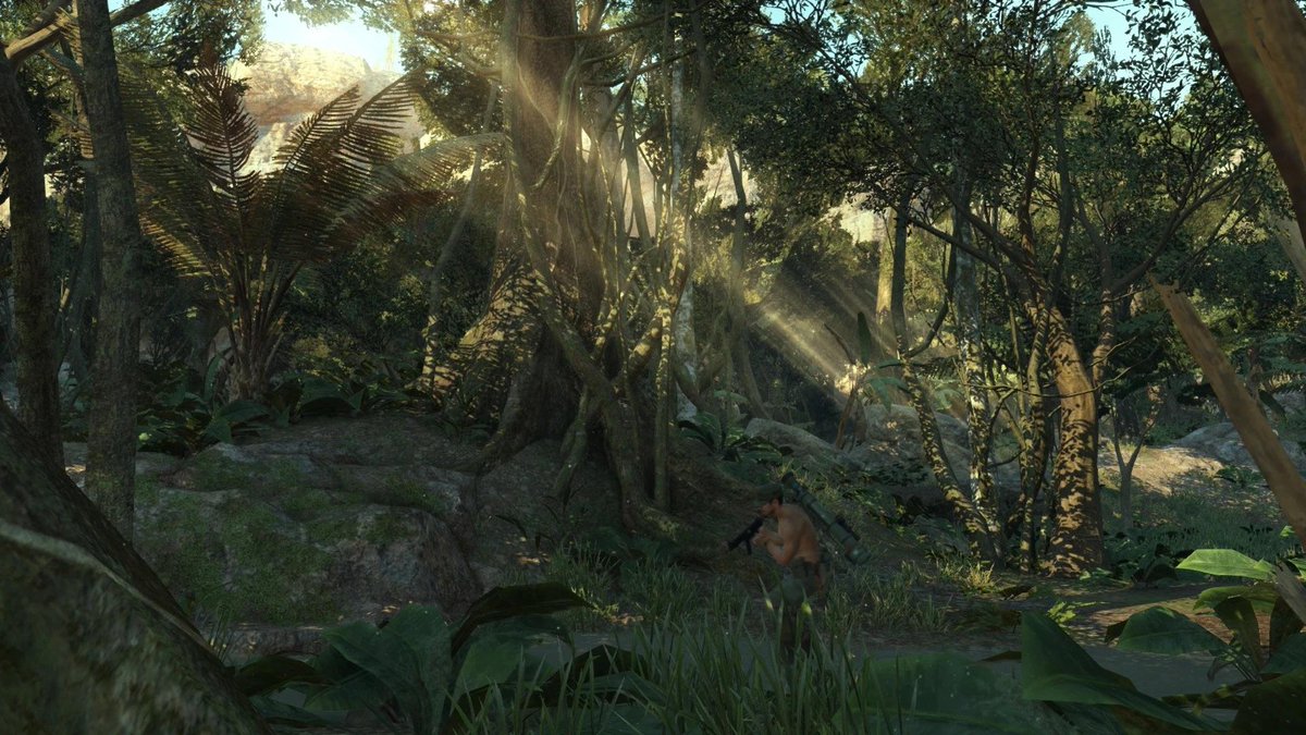 From "Witchcraft in Early North America" by Alison Games "West-Central Africans [once] believed the forest to be a sacred space, where they buried the dead and where spirits might inhabit rocks or trees"