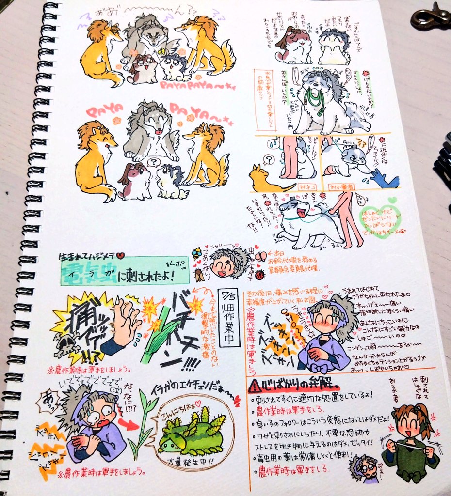 4、5、6、7 ぺぇじ🐾 