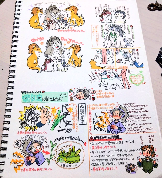4、5、6、7 ぺぇじ🐾 