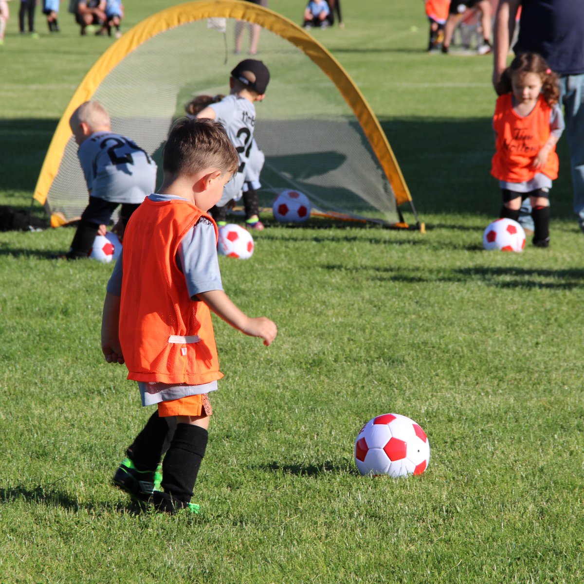 CambridgeSoccer's tweet image. Some 📸 of our young athletes learning the game ⚽

#YouthSoccer #YouthSports #GrassrootsSports #RecreationalSoccer #Cambridge #CambridgeSports #CambridgeSOccer #CYS