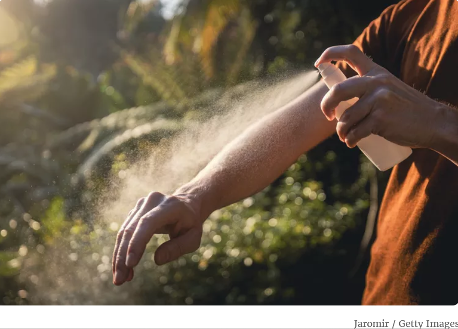 vtbiochem's tweet image. Dr. Clement Vinauger talked to Stephanie Brown at Verywell Health and discussed what makes someone a mosquito magnet, highlighting research conducted in @thevinaugerlab  and @Lahondere_Lab at @vtbiochem @Verywell #VirginiaTech #UtProsim #Hokies 
verywellhealth.com/how-to-minimiz…