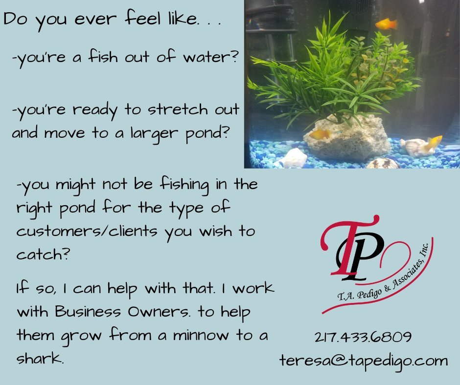 Want to grow from a minnow to a shark? Let's talk!