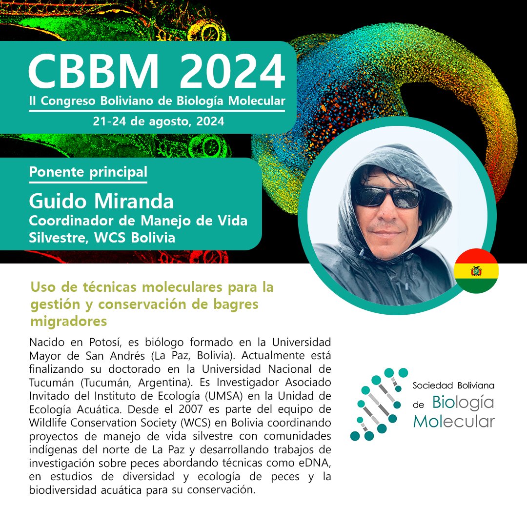 BioMolBol's tweet photo. Es un gusto contar con Guido Miranda como uno de los ponentes principales en el #CBBM2024. Ilustrará sobre la integralidad entre #BiologíaMolecular, ecología y conservación. Nos vemos en el CBBM2024 #BioMolBol #SoyBioMol #SBBM #CienciaBoliviana #BiólogosBolivianos #CienciaWasa https://t.co/a47aoOpJ9D