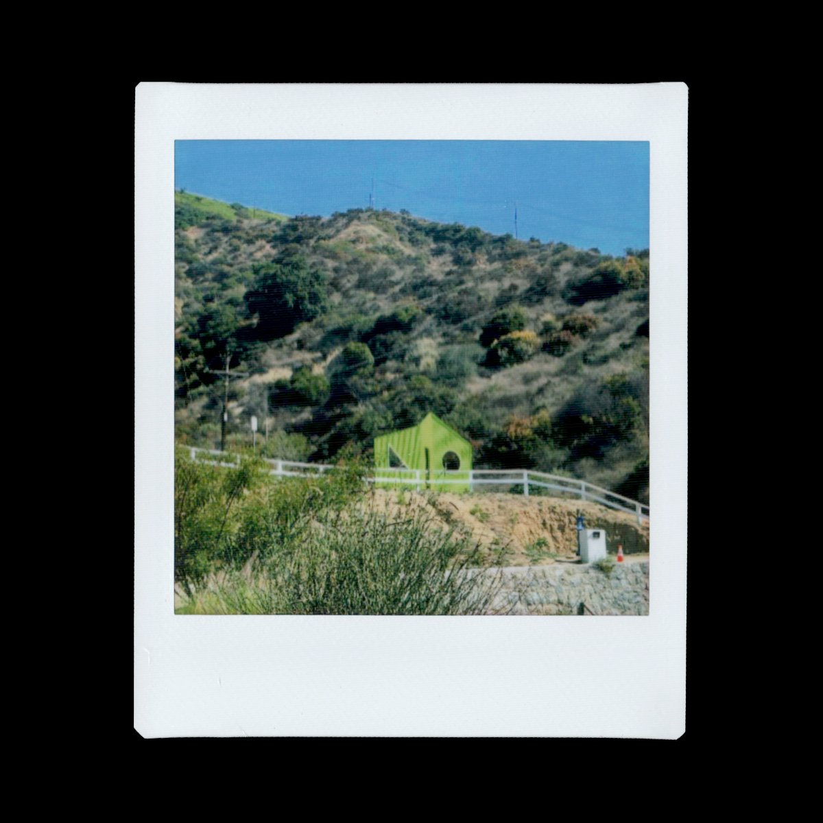 New York Review of Architecture tweet media