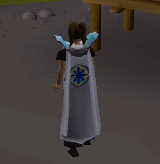 SaneyRS's tweet photo. Osrs gains. https://t.co/g94g8jpVF6