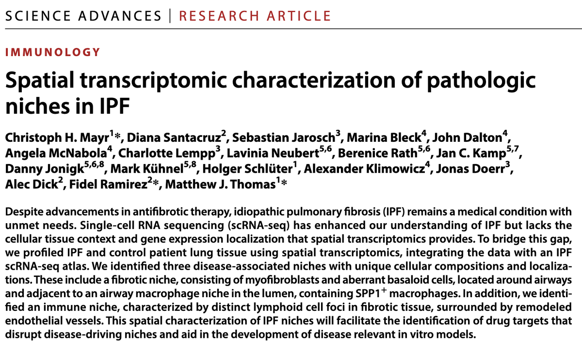 Niklas Lang tweet media