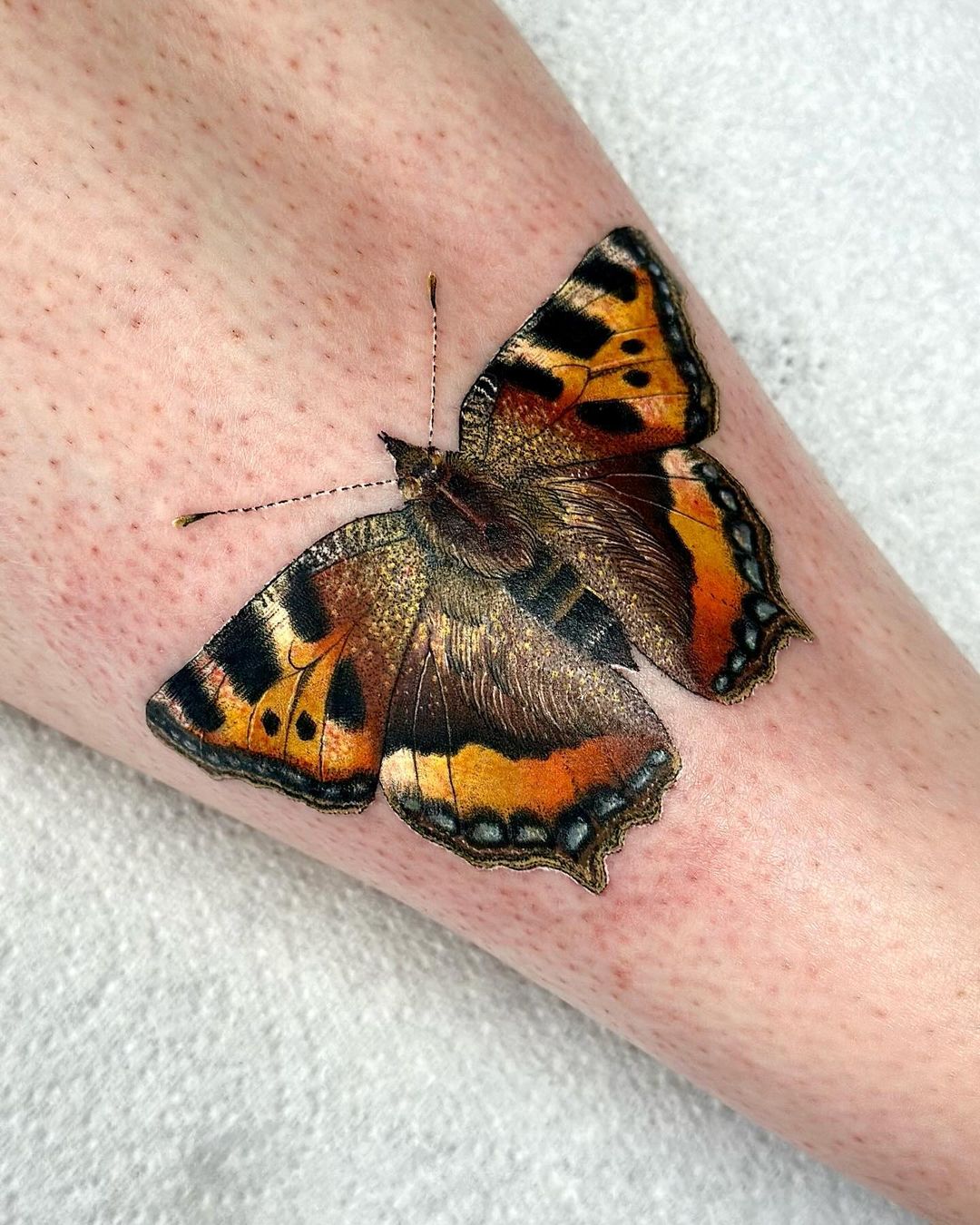 tortoiseshell-butterfly-tattoos-page-3-tortoiseshell-butterfly