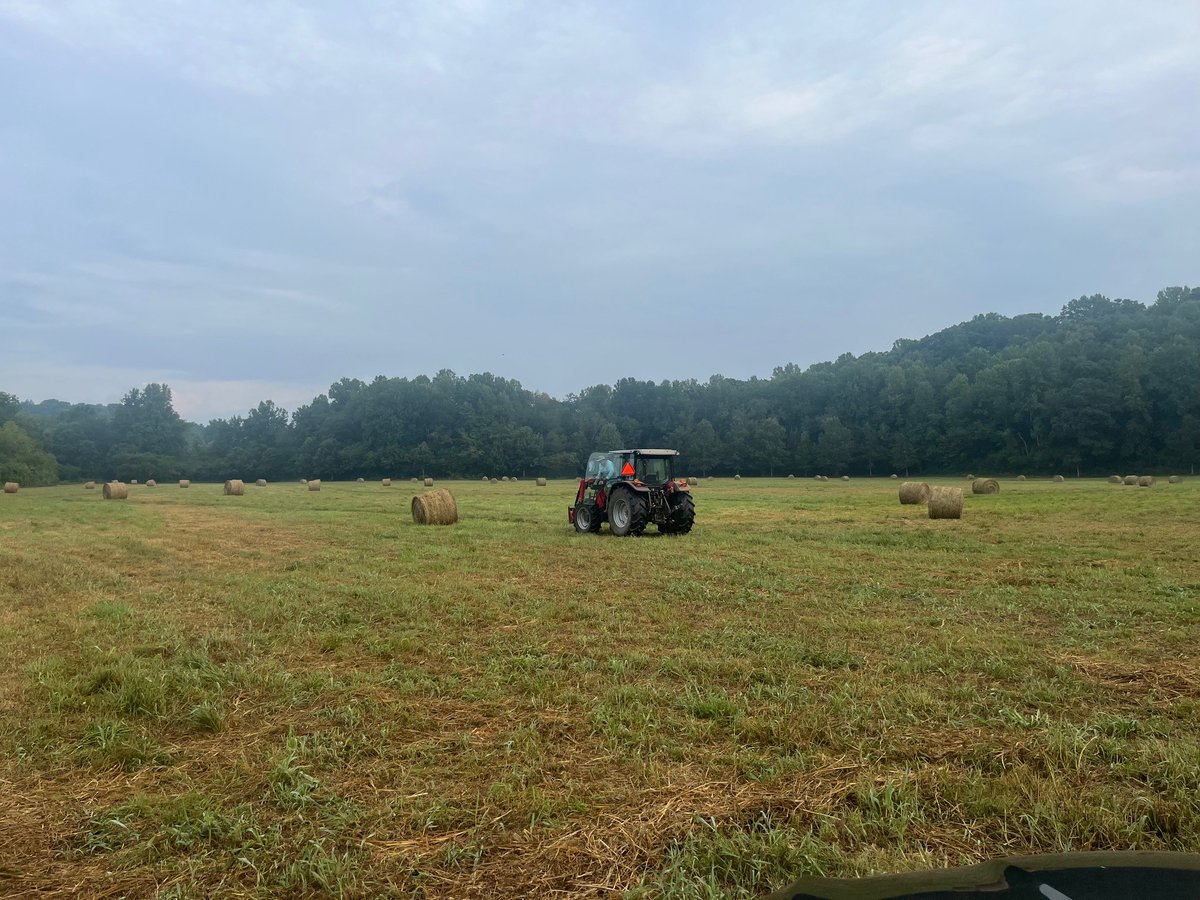 Hall_Schools's tweet photo. Thank you to Hall County Government for letting the school district bale the hayfield at the North Hall Community Center. Great partnership and cost savings. #hallcountygov hall_schools https://t.co/LT9MYen5di