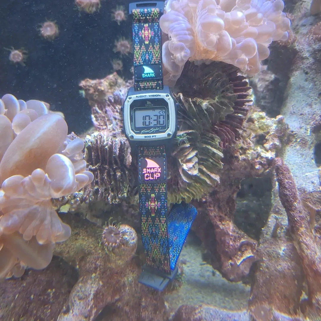 freestyle_watch's tweet photo. #SharkWatch Morocco redefining 'shark tank' with some serious style!ย โ๐ย #freestylewatches #watchpics #watchgram #watchlove #watchdaily #watchshot #watchoftheday #sharktank #fishtank #fishtanklife #fishtankhobby #fishtankfanatics https://t.co/uYEMubK5LJ https://t.co/nzZItWG0ff