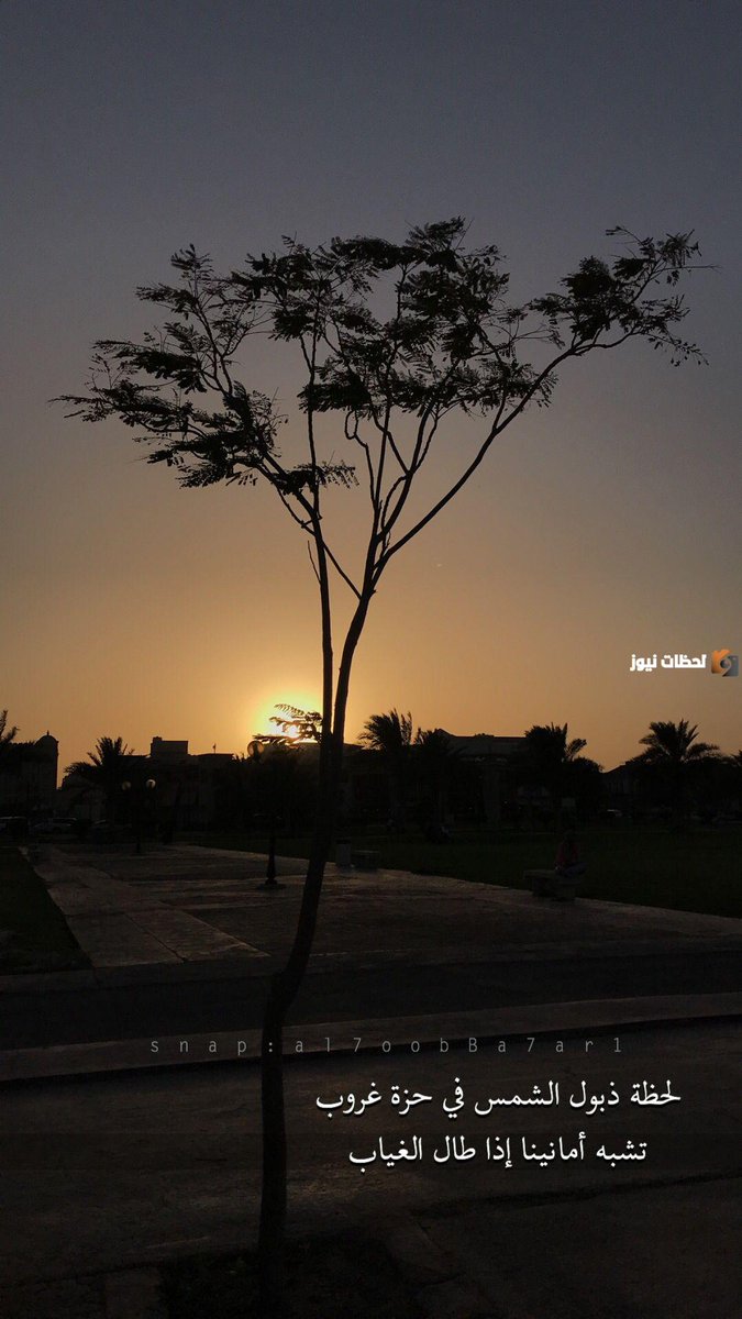 ضع أمنياتك وقت الغروب🌅 لعلك تراها مشرقه يوما ماااا.......💚💚💚💚
#تابعني_أتابعك