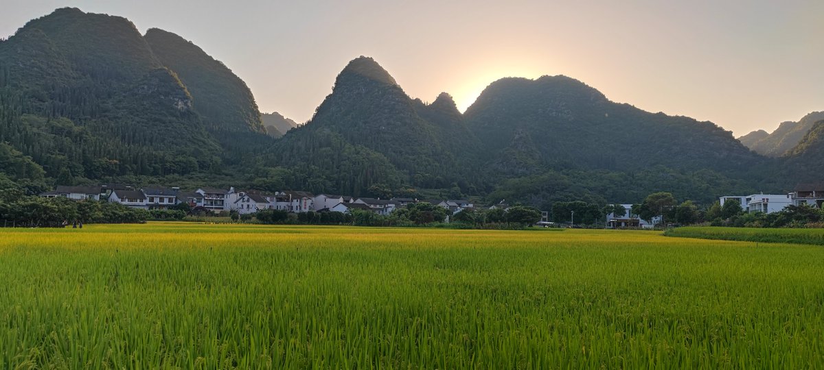 才不怕呢 tweet media