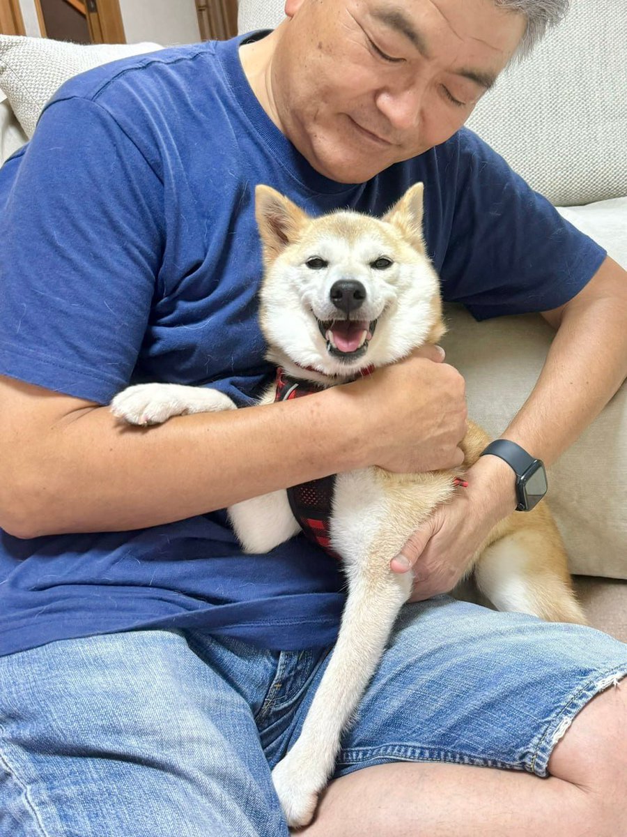 Neiro Doge Solana tweet media