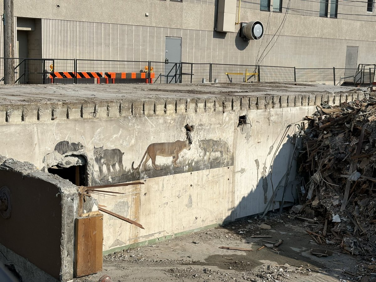 mhatata's tweet photo. @cmcalgary  Walked by the site where Thai Thai used to be on 17th and where a new high rise is coming.  Saw this print of animals where the dry cleaner used to be I believe.  Anyone have any idea what this would’ve been for ? https://t.co/mOTOWGQXpj