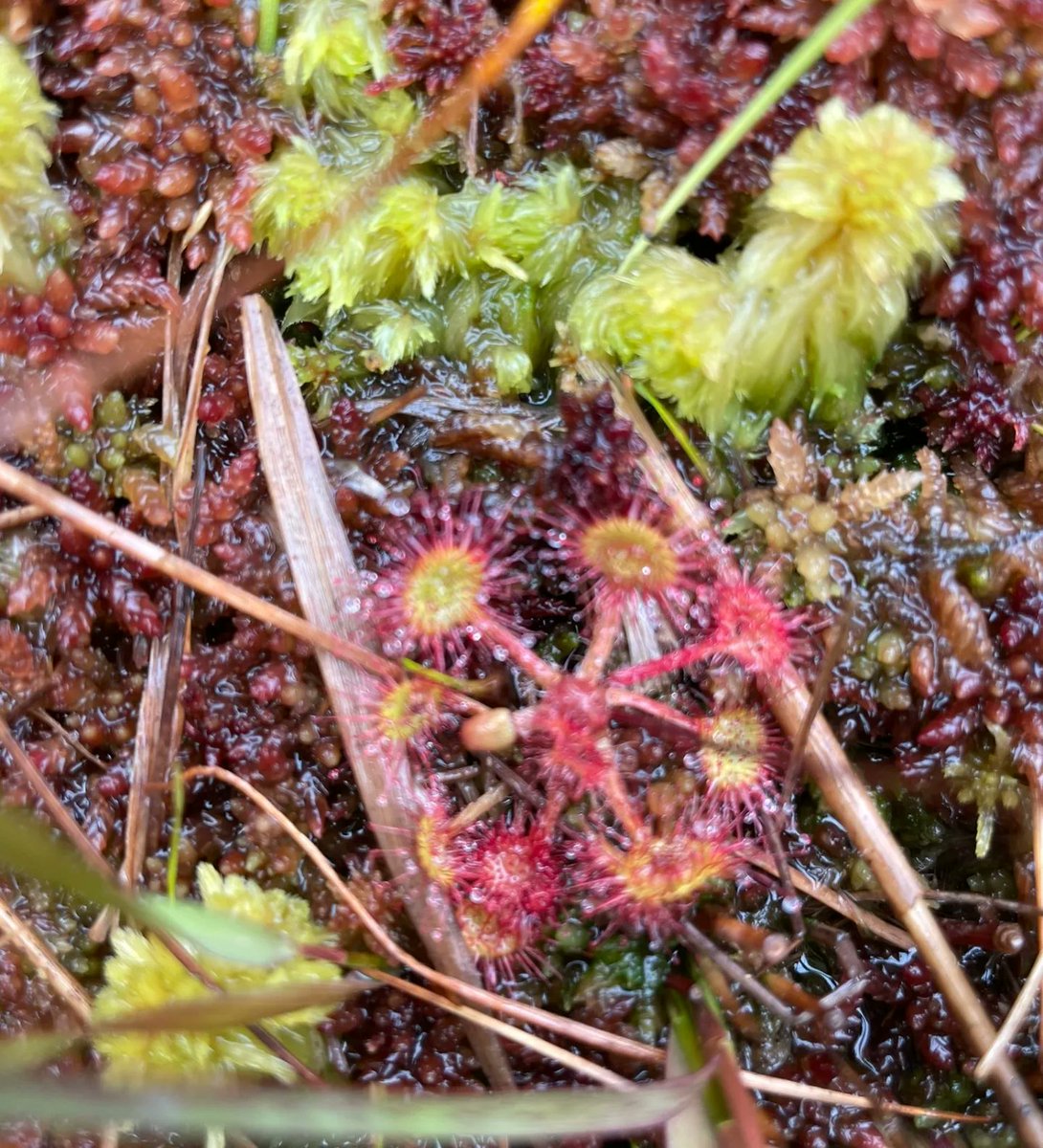Water of Leith Conservation Trust tweet media