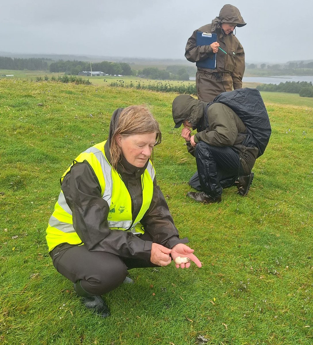 Water of Leith Conservation Trust tweet media