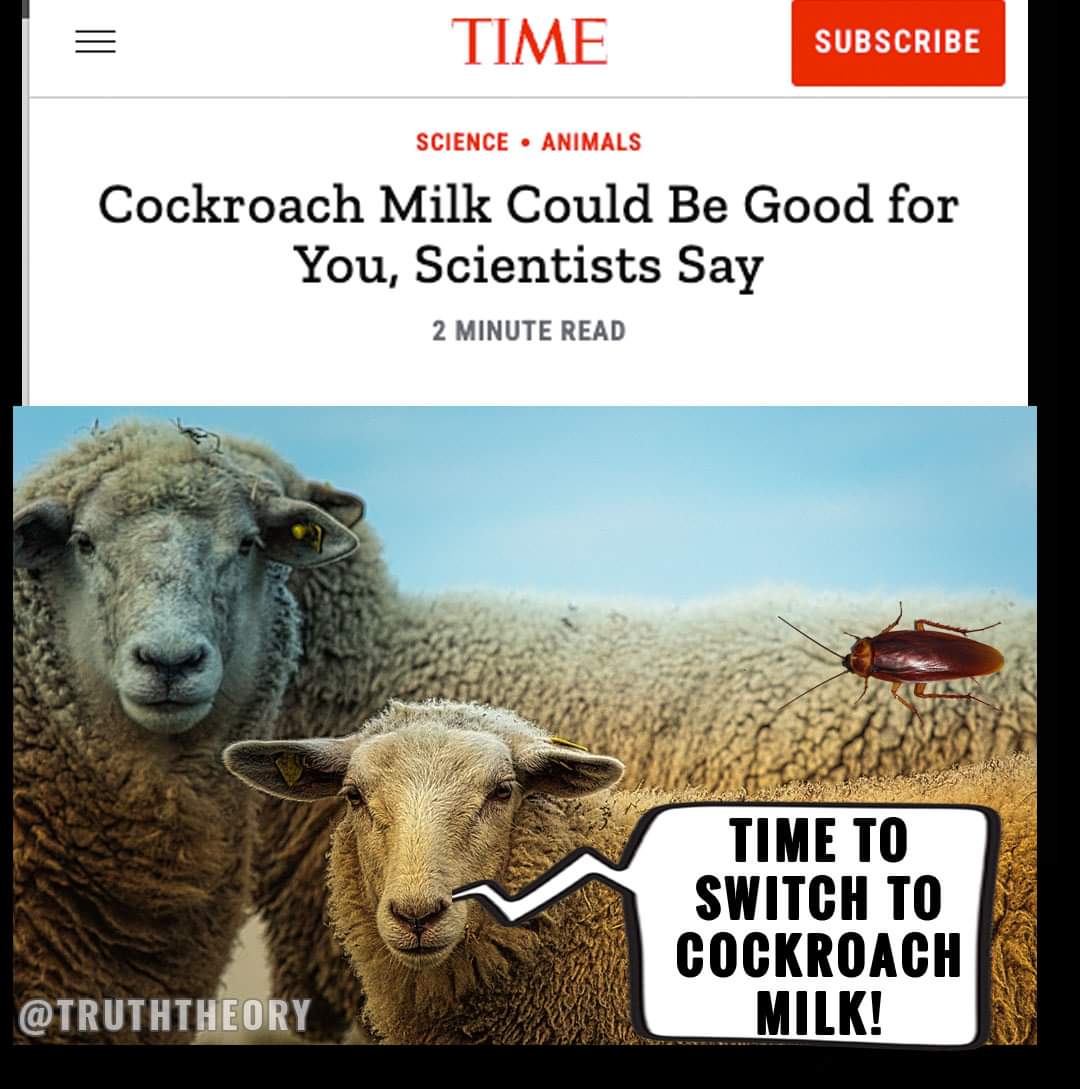 rhakim561's tweet image. Is this where this mad #progressivist world coming to? Awful as well as annoying 😑!