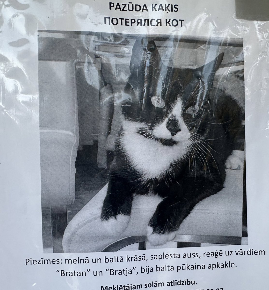 siegfried_lv's tweet photo. @Vilks_Vienacis Es domāju, ka šis atsaucas! https://t.co/EjY3PTkKKB