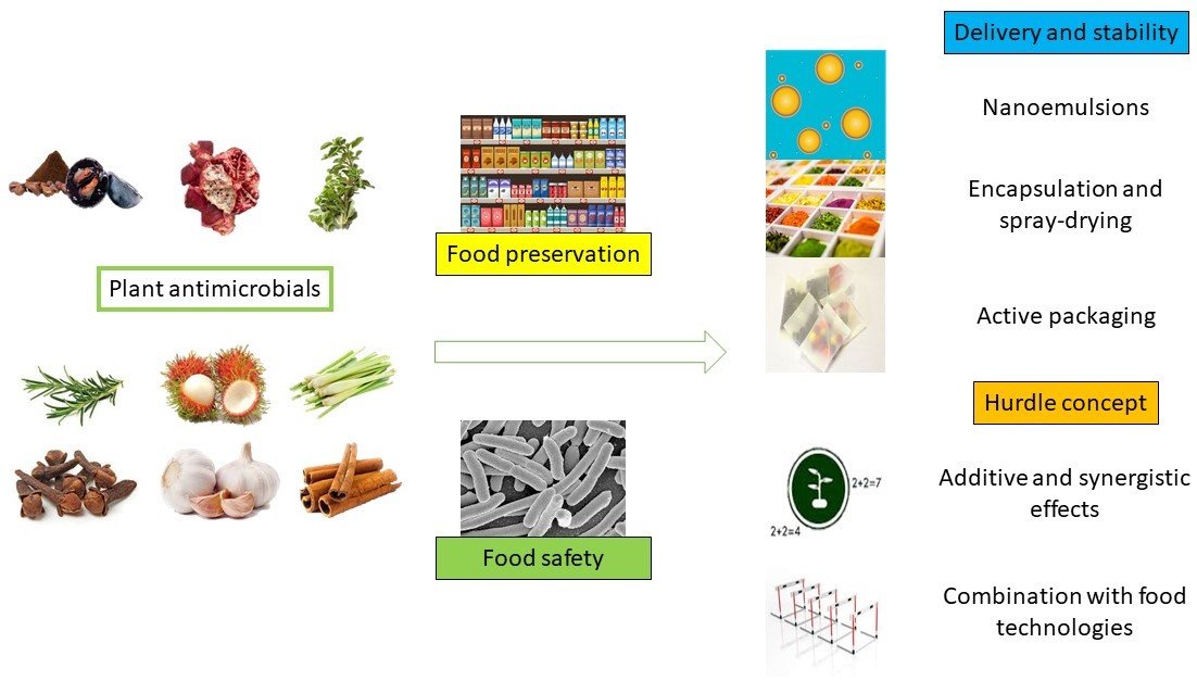 Foods_MDPI's tweet photo. #foodsmdpi 🛎️#HighlyCitedPaper
🥰Title: #Plant #Antimicrobials for Food Quality and Safety: Recent Views and Future Challenges
by Loris Pinto et al

👉Link: https://t.co/hrh63XpC9Y https://t.co/qqYJFWP9Zi