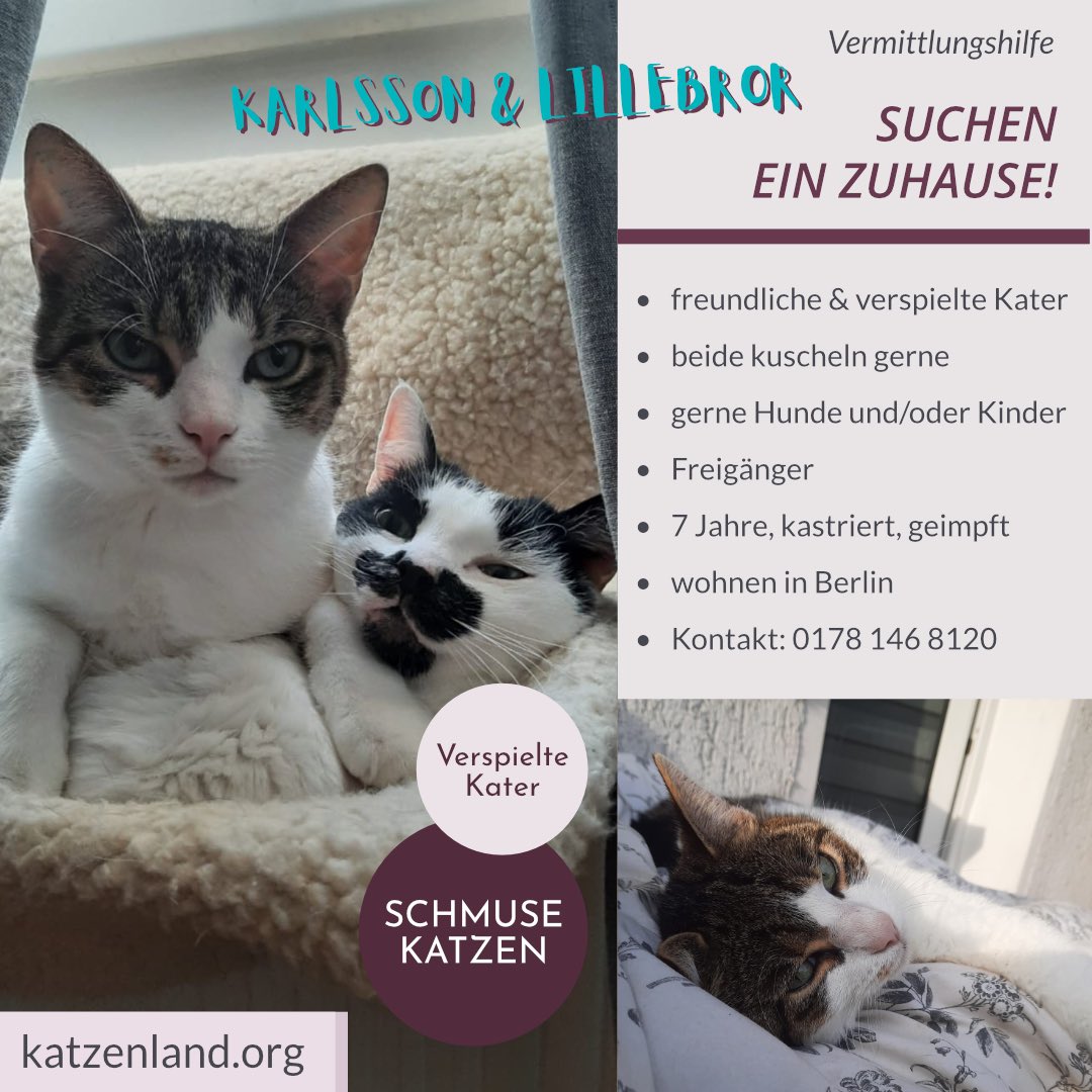 Katzenland_eV tweet picture