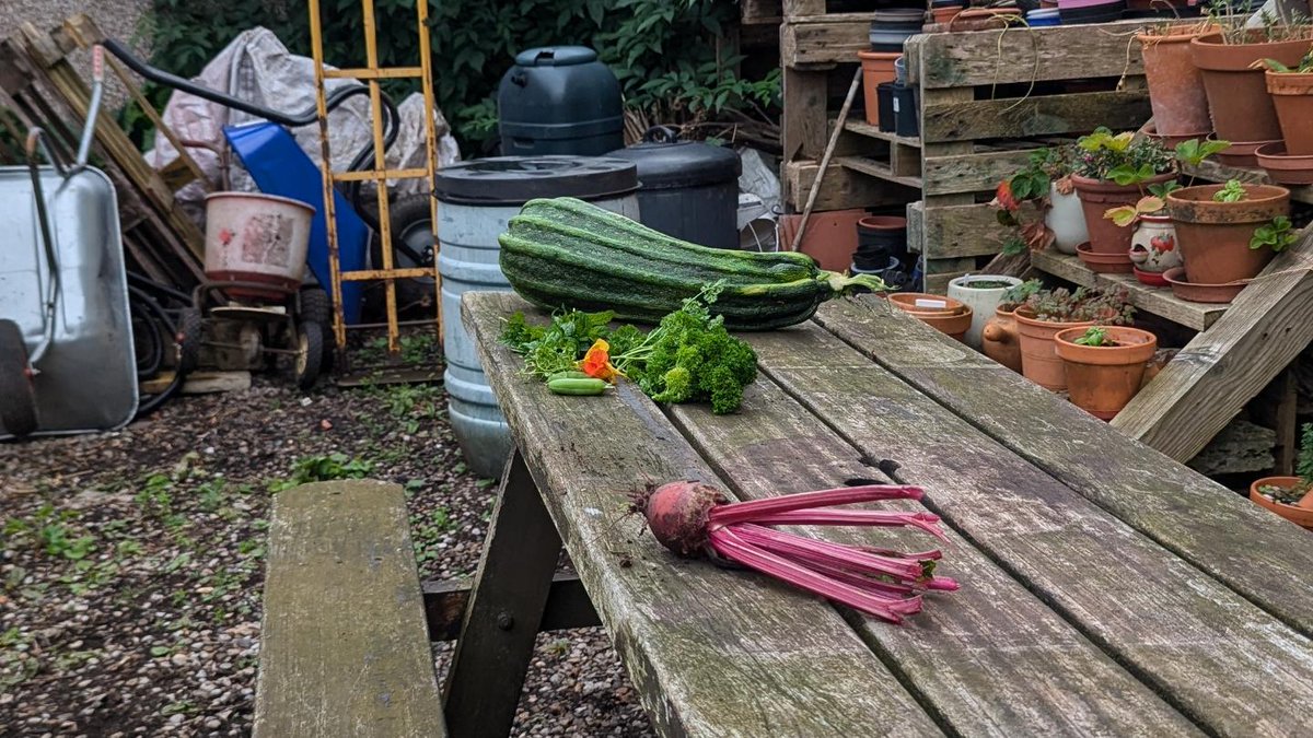 BetterConnect tweet media