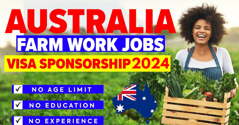 scholarsintel's tweet photo. Farm Work Jobs in Australia Work Visa Sponsorship 2025