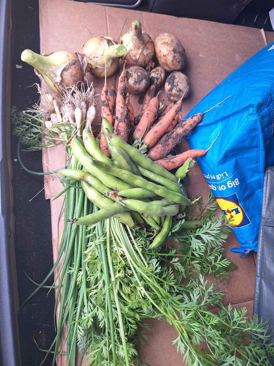 Seeds To Suit (@seedstosuit) on Twitter photo Is there anything better than homegrown produce? At Seeds To Suit, we will always do our best for you.  #qualityseeds #uksourced ##recyclablepackaging #bargainprices #bestpricesonline #seedstosuit #seedsyouwantinthequantitiesyouneed #seedthefuturewithseedstosuit Is there anything better than homegrown produce? At Seeds To Suit, we will always do our best for you.  #qualityseeds #uksourced ##recyclablepackaging #bargainprices #bestpricesonline #seedstosuit #seedsyouwantinthequantitiesyouneed #seedthefuturewithseedstosuit