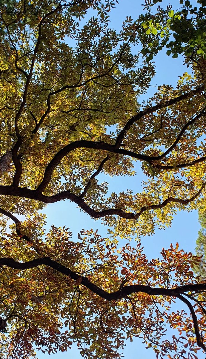 Jennifer Ashby @jenniferashby.bsky.social tweet media