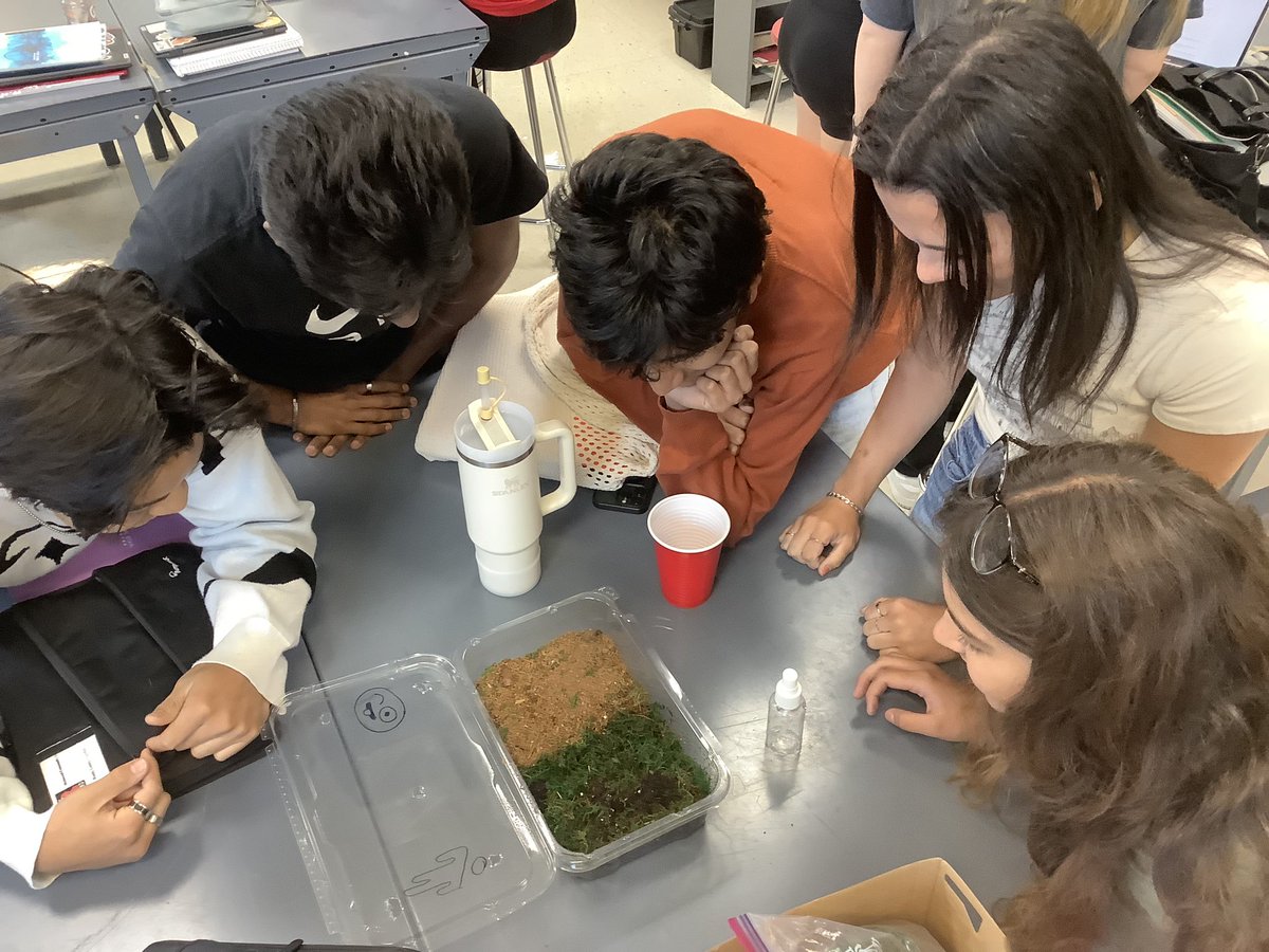 Mr. Hilbert tweet media