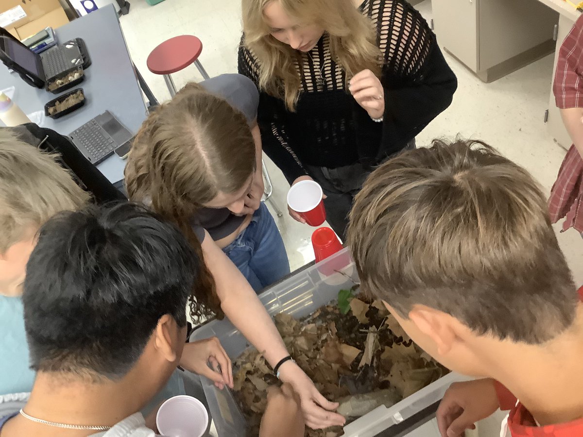 Mr. Hilbert (@mr_hilbert) on Twitter photo ACP Biology students are applying their knowledge of The Nature of Science to design an experiment to study pill bug behavior. #ThisIsWhoWeR <a href="/LearnatRHS/">Richmond High School</a> <a href="/wearrrichmond/">WeRrichmond</a> <a href="/raewoolpy/">Rae Ferriell-Woolpy</a> ACP Biology students are applying their knowledge of The Nature of Science to design an experiment to study pill bug behavior. #ThisIsWhoWeR <a href="/LearnatRHS/">Richmond High School</a> <a href="/wearrrichmond/">WeRrichmond</a> <a href="/raewoolpy/">Rae Ferriell-Woolpy</a>