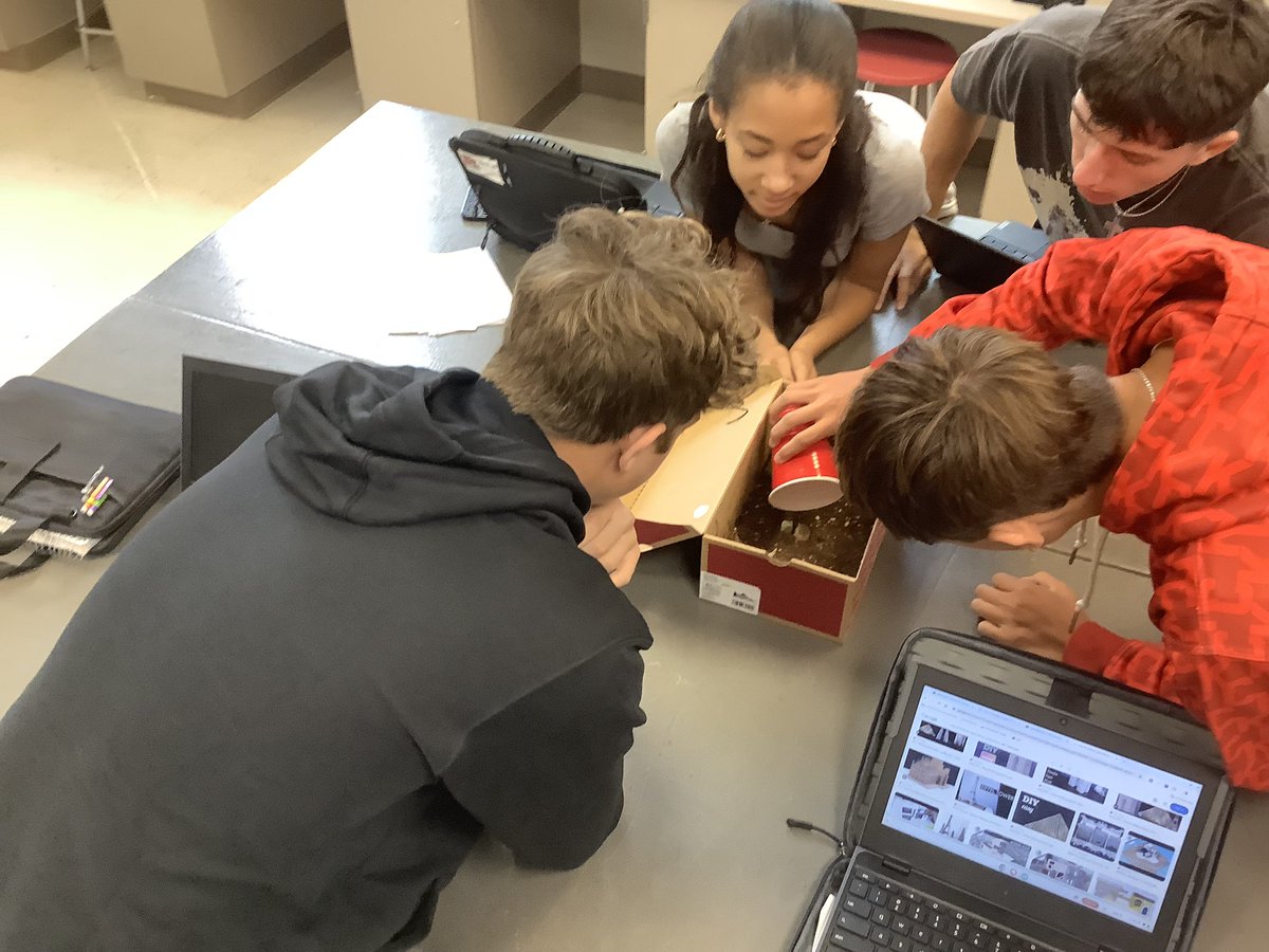 Mr. Hilbert tweet media