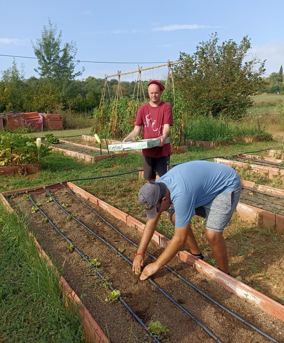 Fundació Autisme Mas Casadevall tweet media