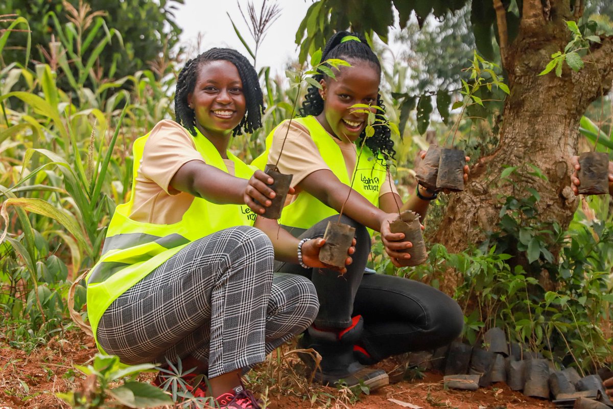 Sharma_265's tweet photo. A secure atmosphere is something I aspire to achieve in addition to mental tranquility through tree https://t.co/uXY8F8HTor part of our effort to commemorate Leah's birthday today, we were able to plant 1000 trees. lets achieve a safe climate
#PlantForThePlanet
#GreenBirthday https://t.co/GG3s66Wvz6